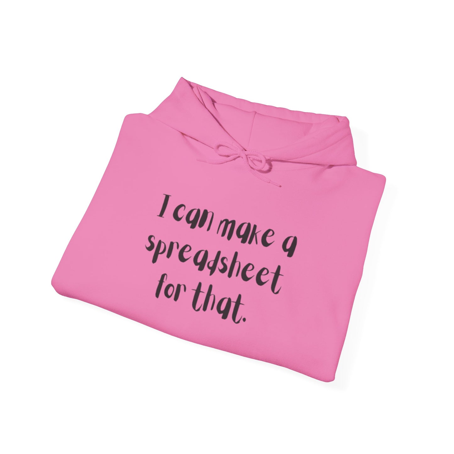 I Can Make A Spreadsheet For That Hoodie