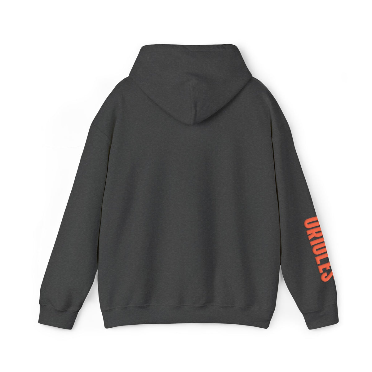 Team Spirit Hoodie