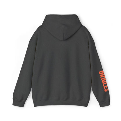 Team Spirit Hoodie