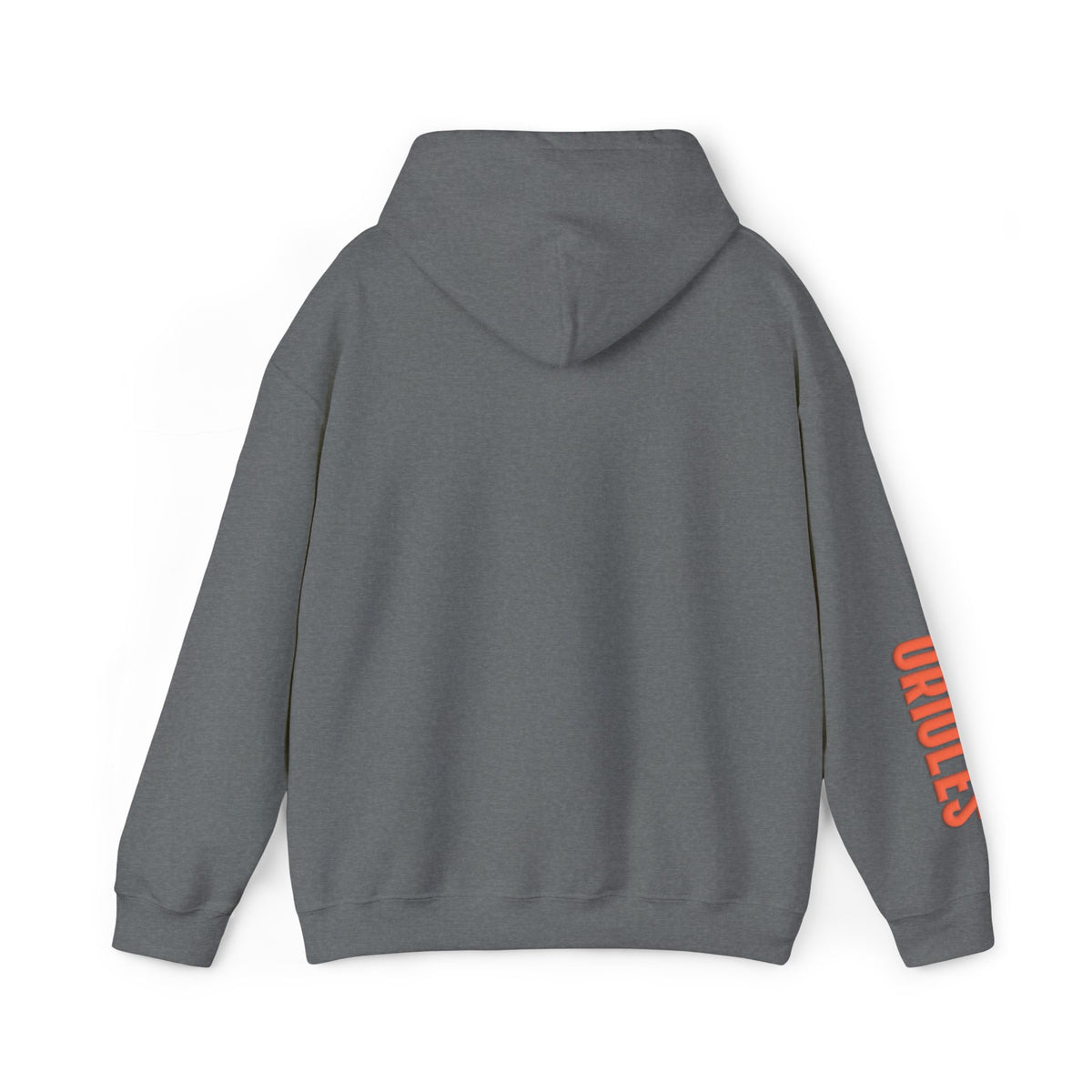 Team Spirit Hoodie