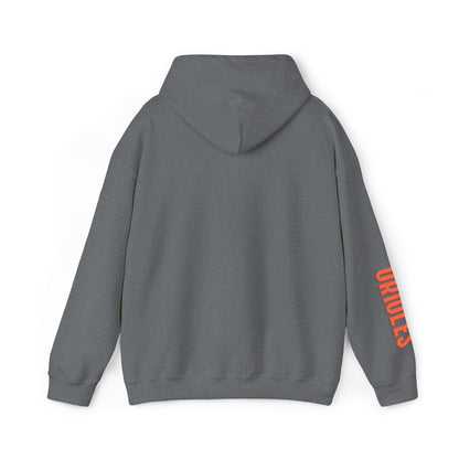 Team Spirit Hoodie
