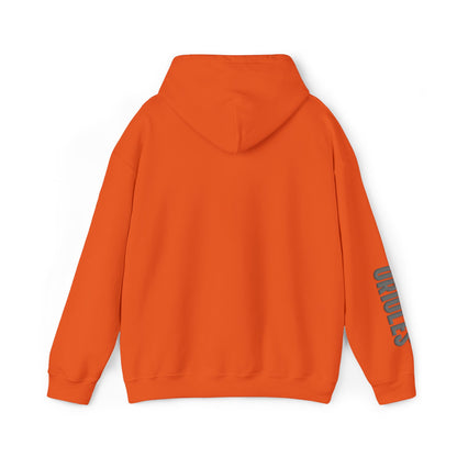 Team Spirit Hoodie