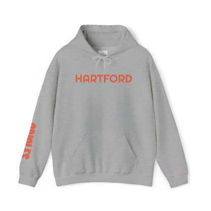 Team Spirit Hoodie